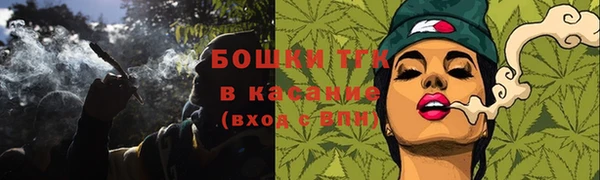 spice Гусь-Хрустальный