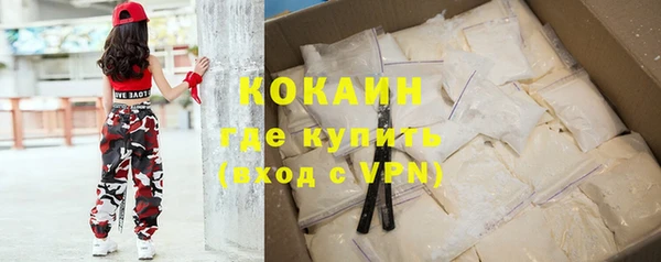 спайс Гусев
