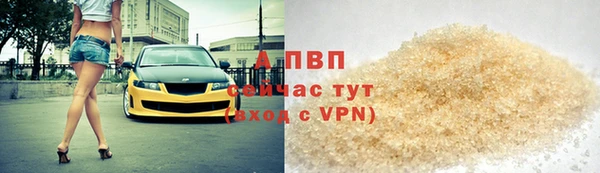 спайс Гусев