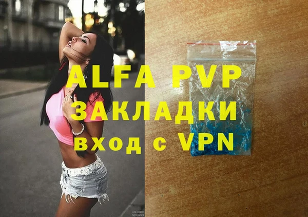 спайс Гусев