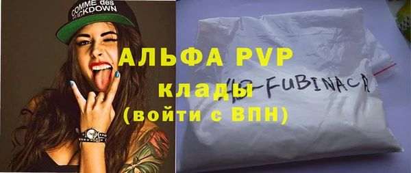 спайс Гусев