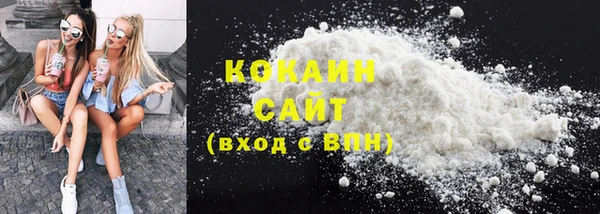 спайс Гусев