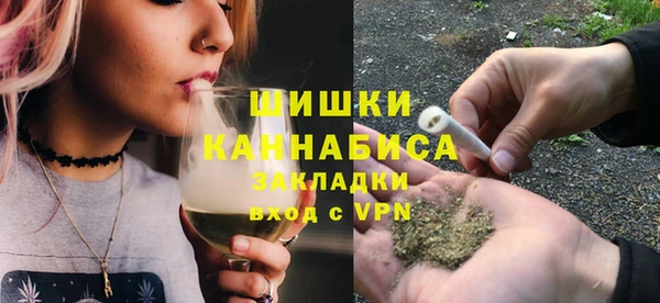 молекула духа Фурманов
