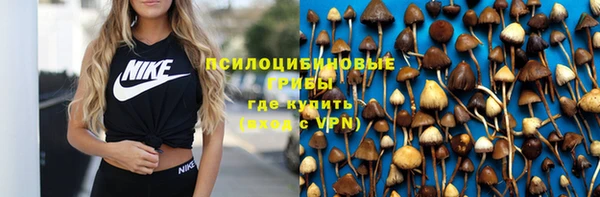 спайс Гусев