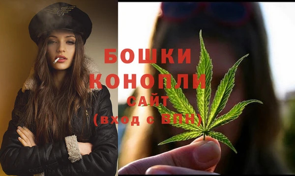 молекула духа Фурманов
