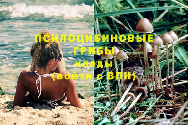 спайс Гусев