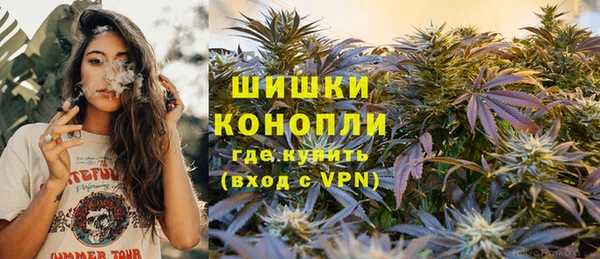 spice Гусь-Хрустальный