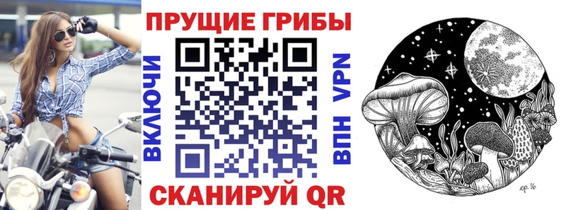 Псилоцибиновые грибы ЛСД продажа наркотиков darknet клад Калач