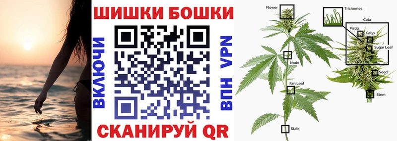 Шишки марихуана гибрид  Калач 